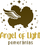 Canil Angel of Light