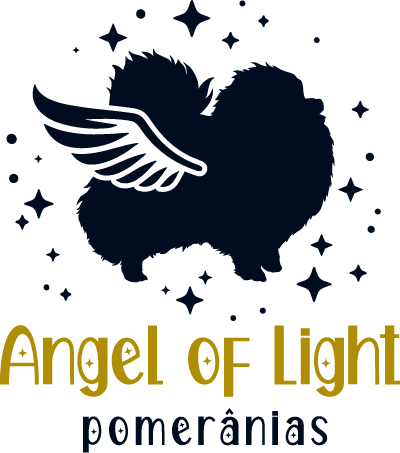 Canil Angel of Light